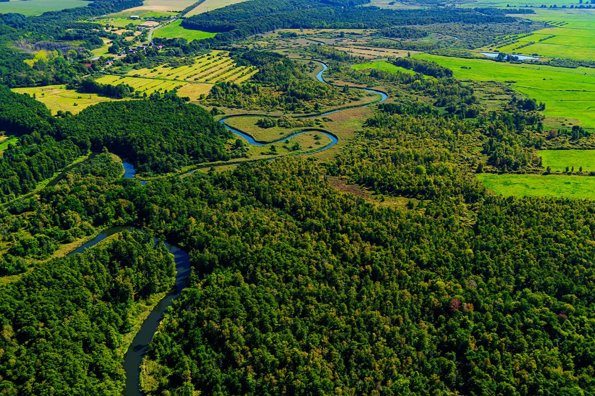 Unteres Recknitztal – Bild 2