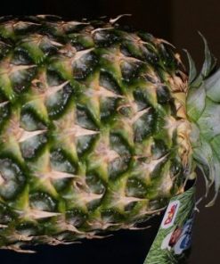 Ananas