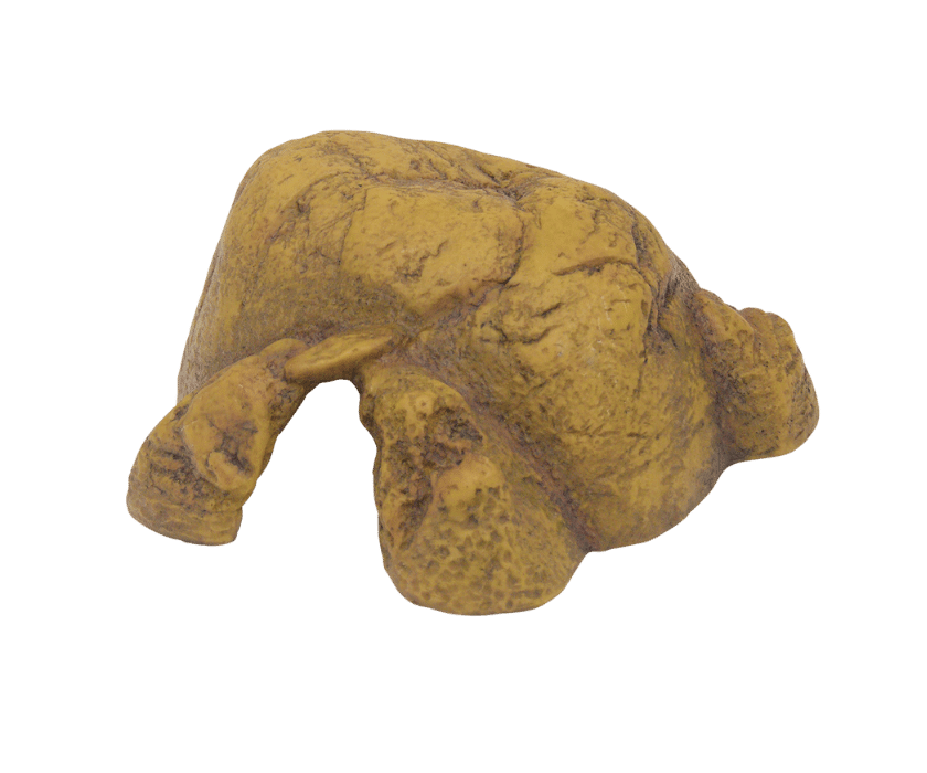 Exo Terra Reptile Cave S-XL – Bild 4