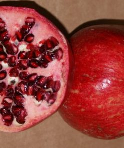 Granatapfel