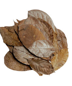 Alternative view of HabiStat Mixed Leaves 30stk