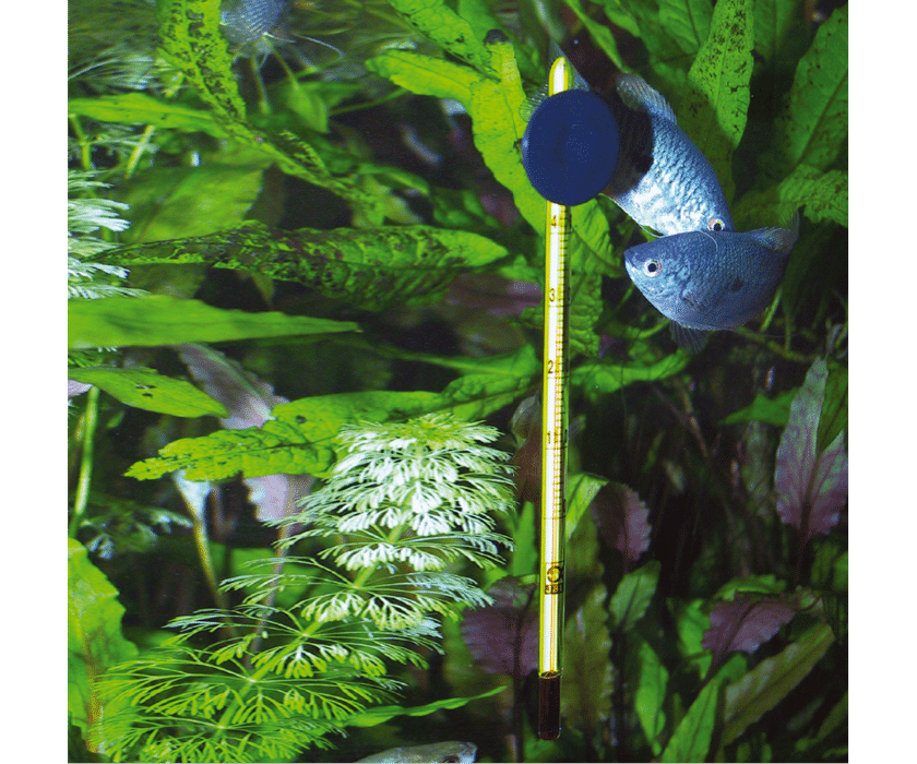 JBL Aquarium Thermometer Slim – Bild 5